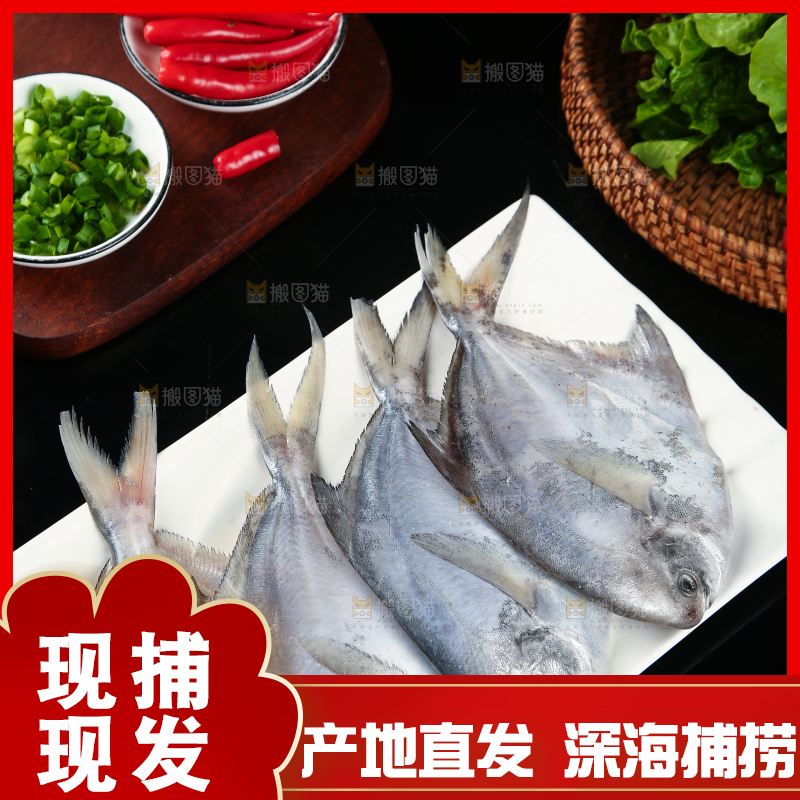 黑底上摆放着一盘舟山银鲳鱼