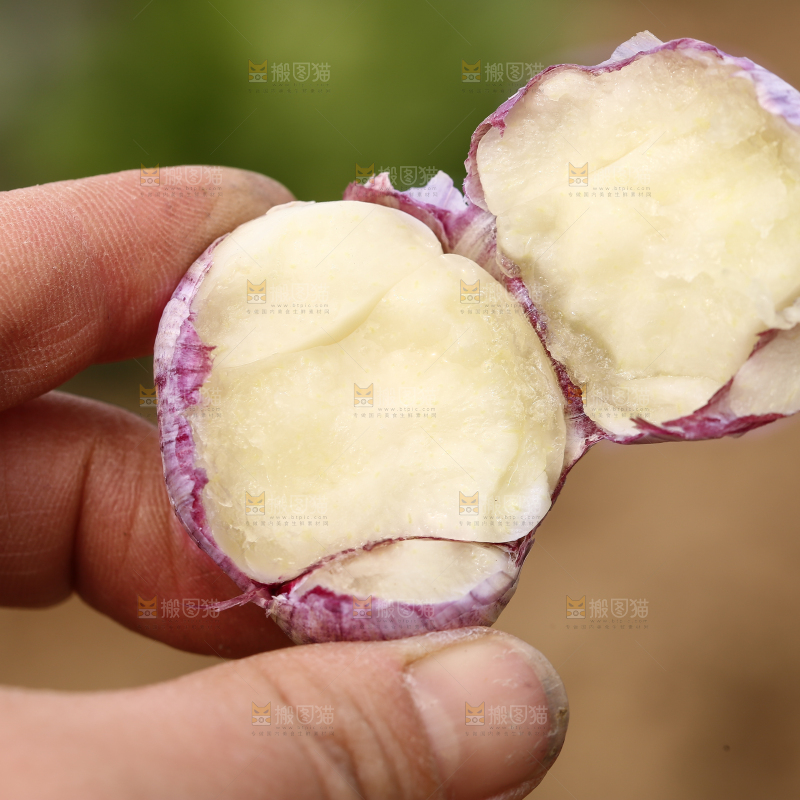 手里拿着三丫蒜