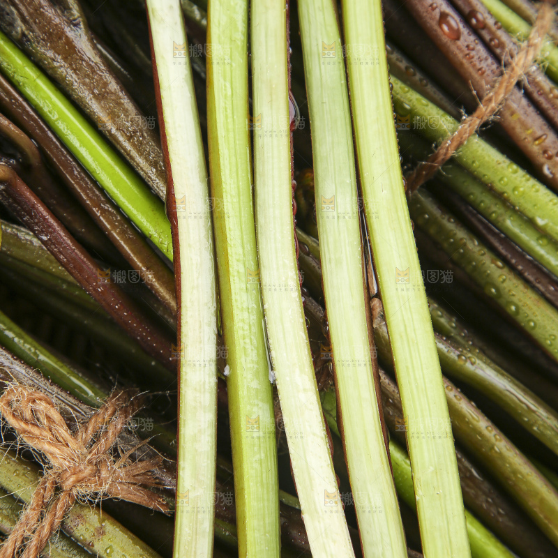 一堆贵州蕨菜