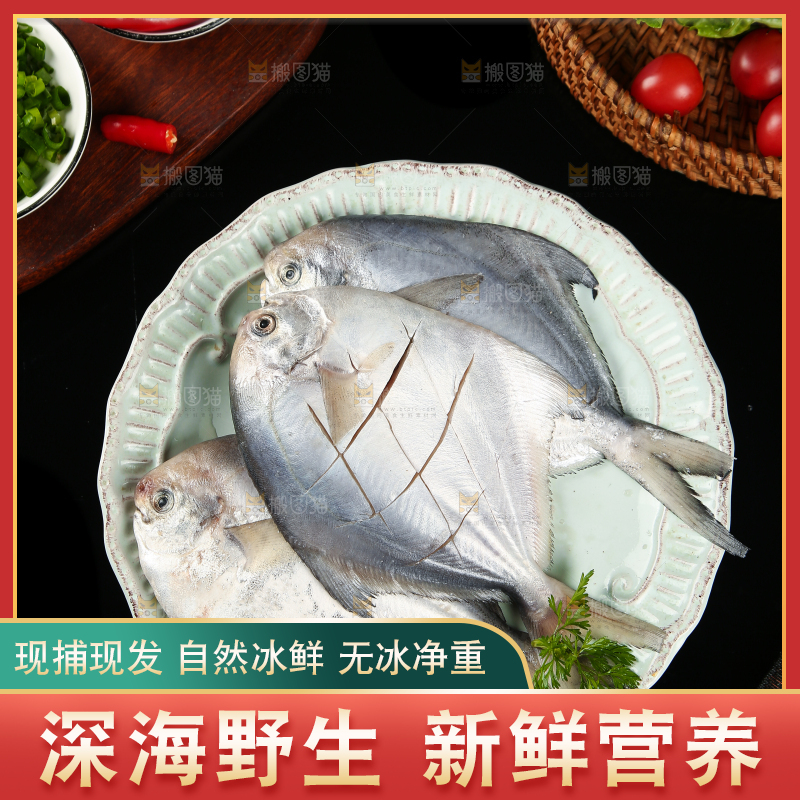 黑底上放着一盘海捕银鲳鱼