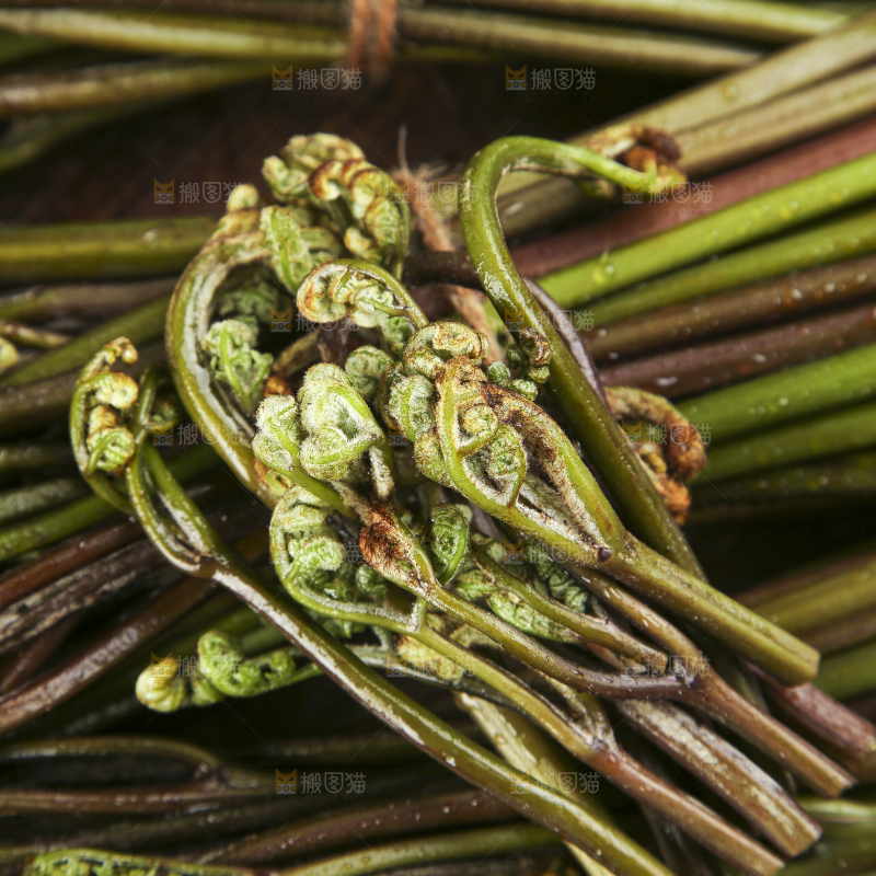 木底上放着贵州蕨菜