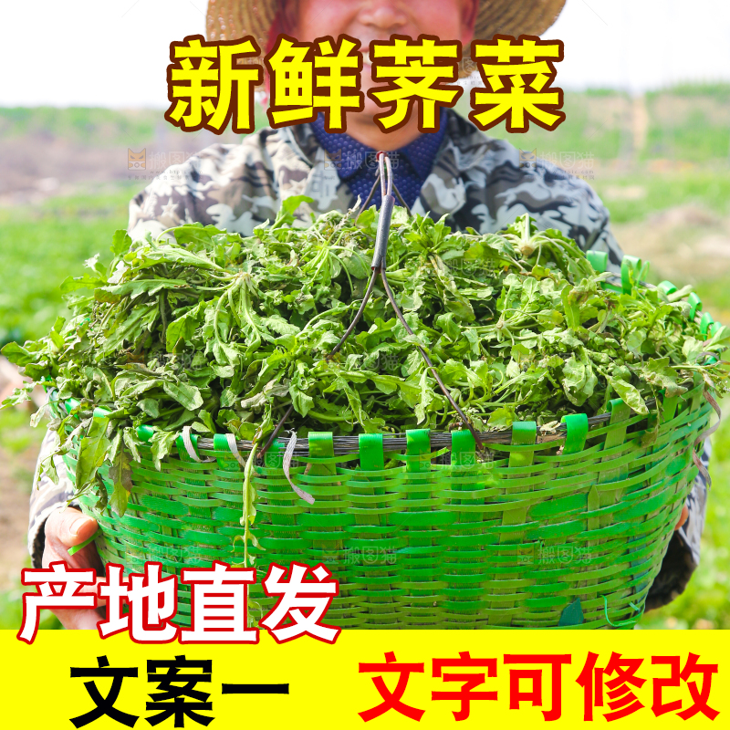 农民手里端着一篮新鲜荠菜