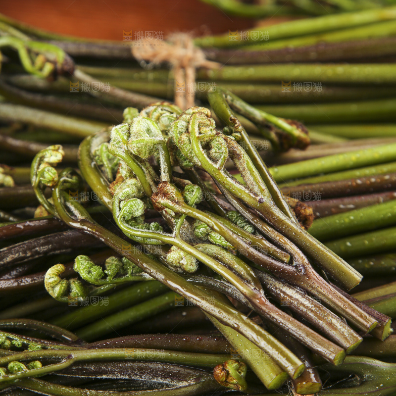 木底上放着贵州蕨菜