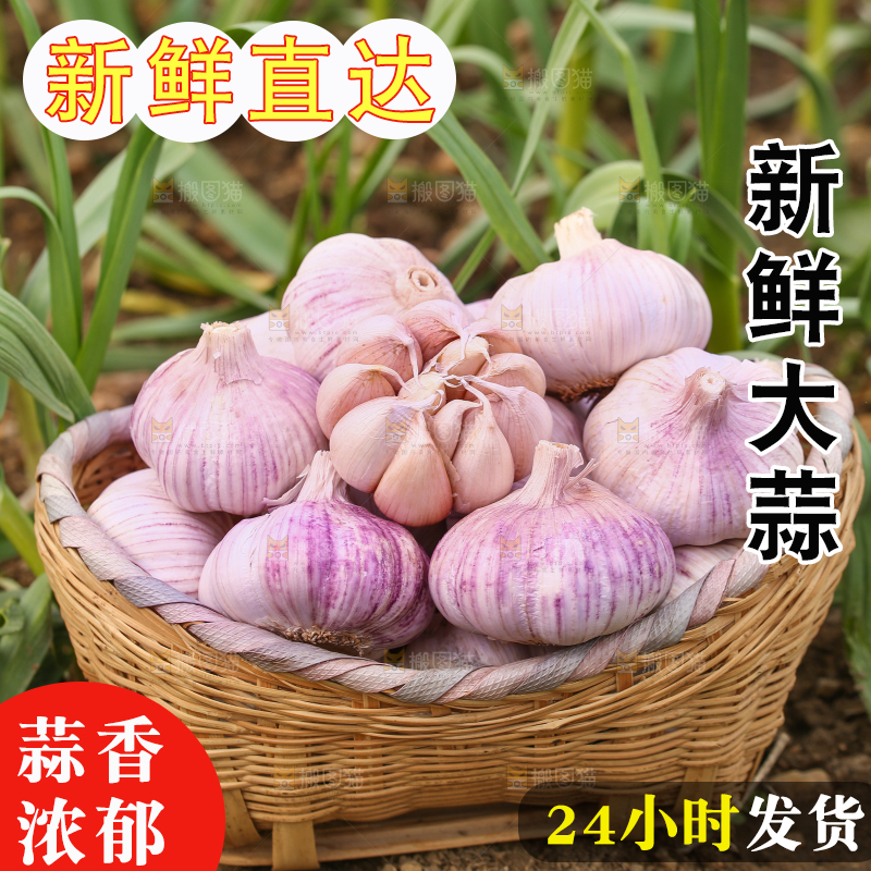 一篓新鲜大蒜