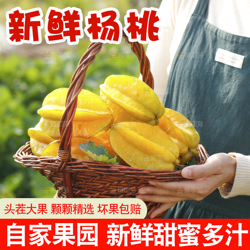 手里提着一篮新鲜杨桃