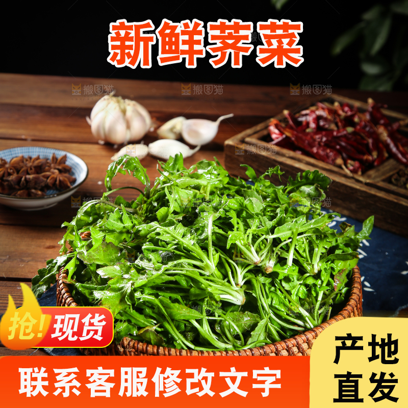 案板上放着一篮荠菜