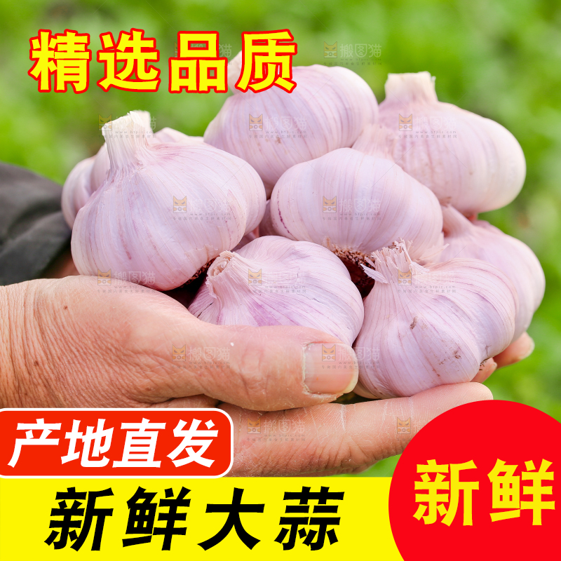 手里捧着大蒜头