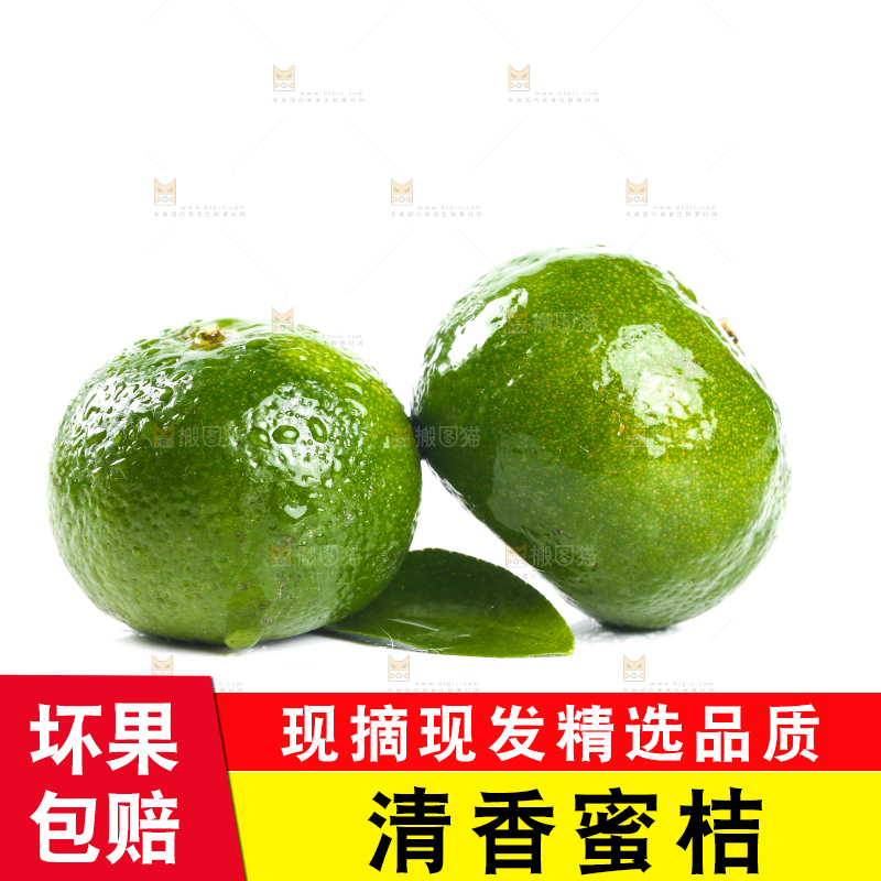 白底上的清香蜜橘