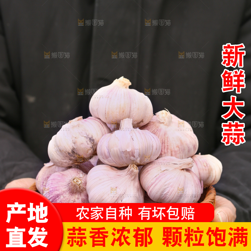 手里端着一篮山东新大蒜