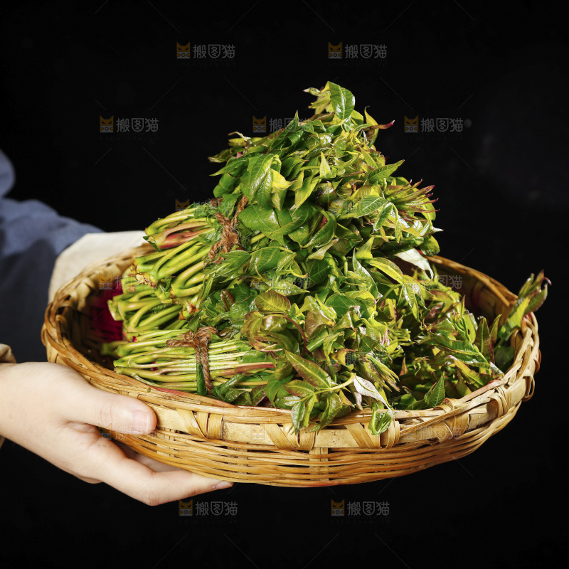 手里端着一篮香椿