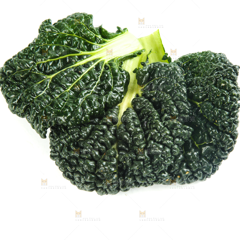 泡泡青摆放在白底上