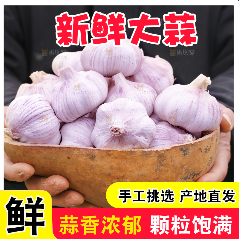手里捧着大蒜头