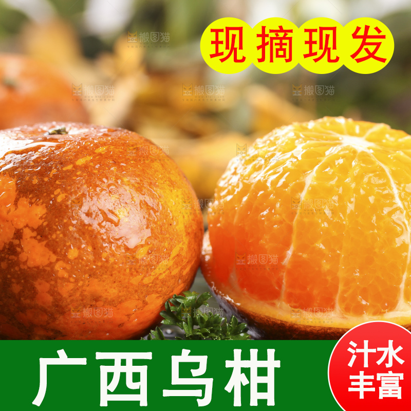 黑底上放着乌柑