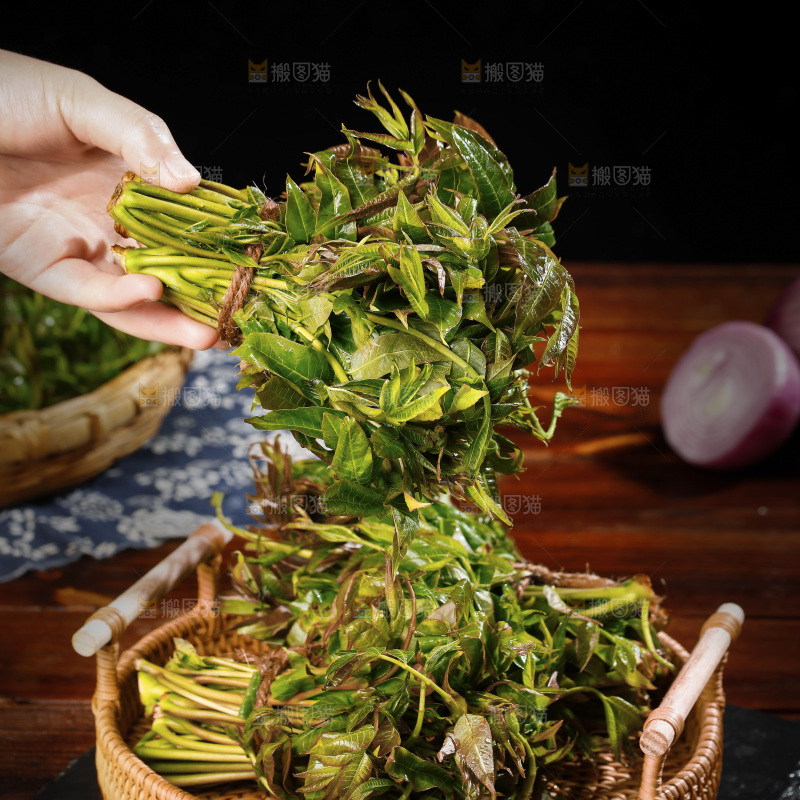 手里拿着头茬香椿芽