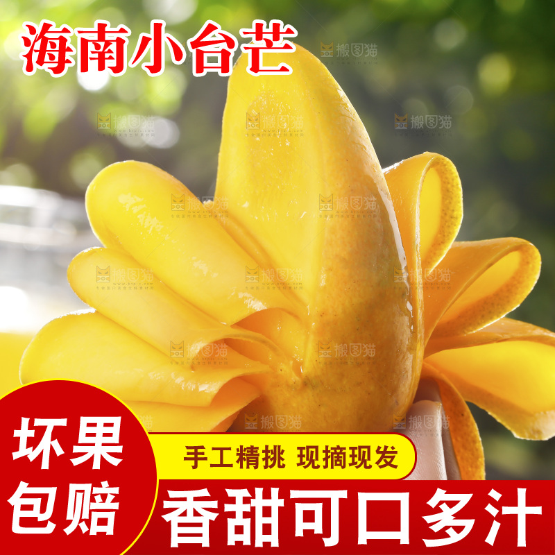 手里拿着切开的小台芒