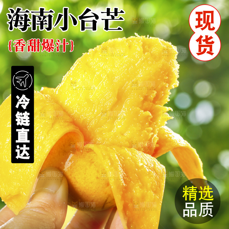 手里拿着小台芒果