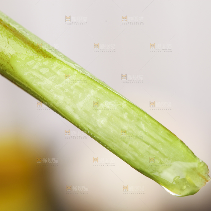 手里拿着蕨菜