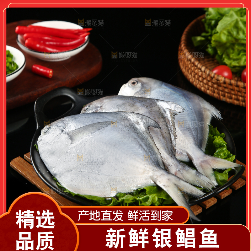 黑底上摆放着一盘舟山银鲳鱼