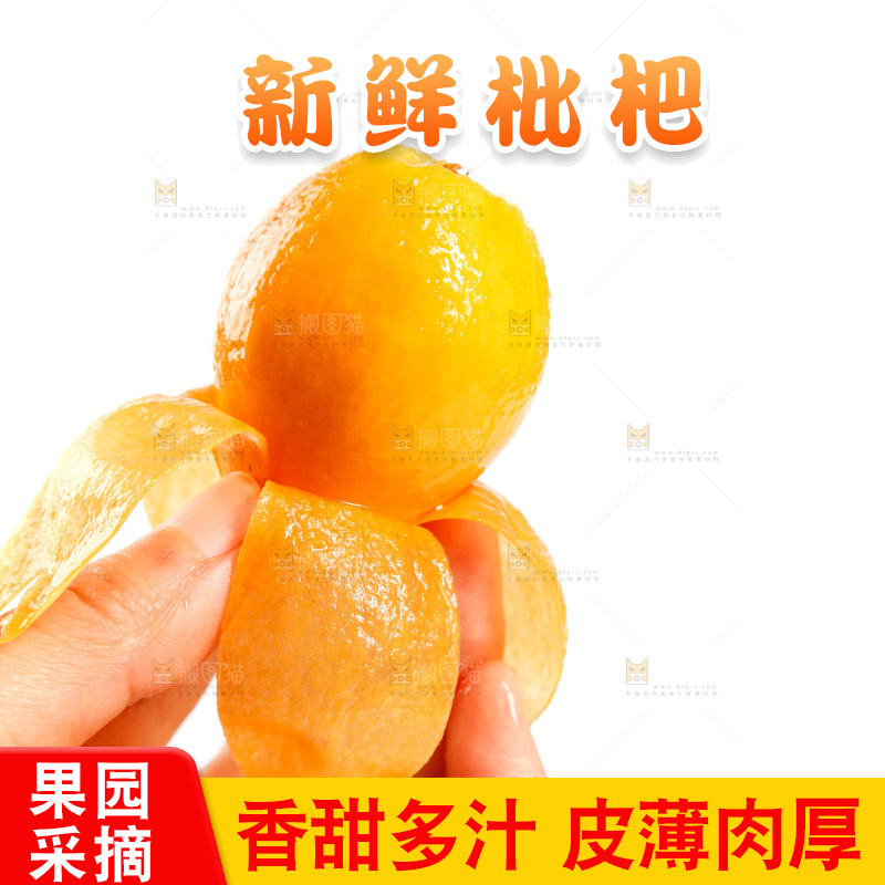 手里拿着枇杷果肉