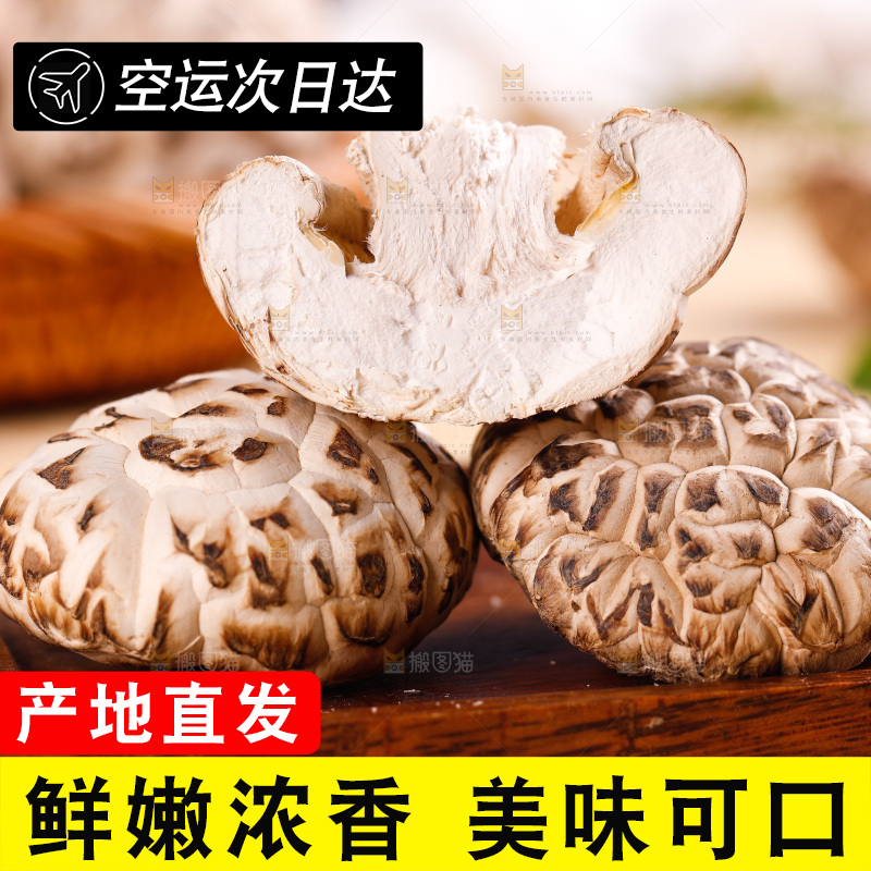木底上的冬菇