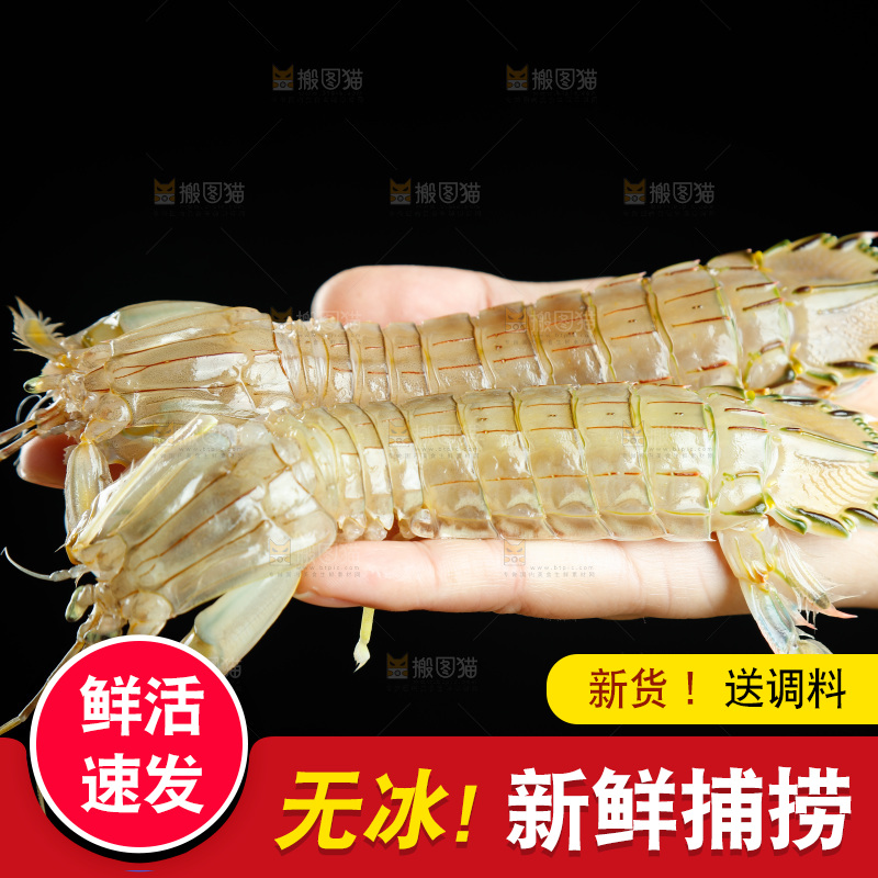 手里拿着鲜活皮皮虾