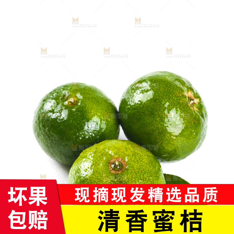 白底上的清香蜜橘
