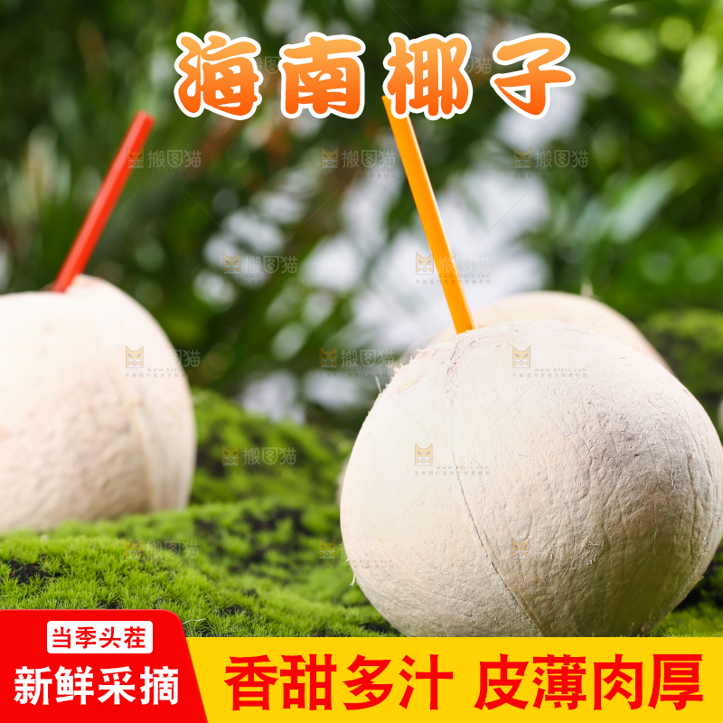 绿色草坪上的椰子