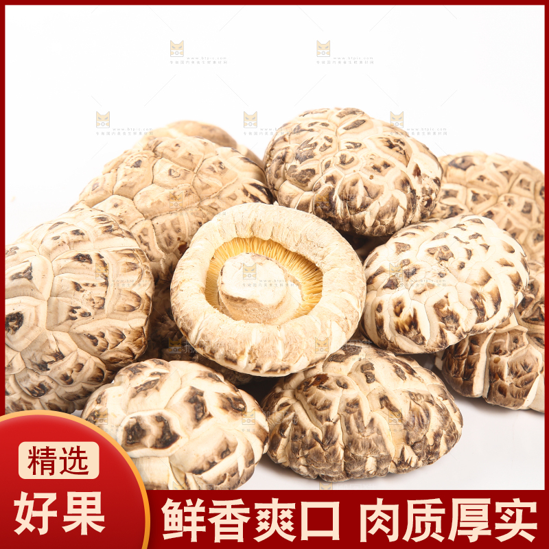 一堆椴木花菇
