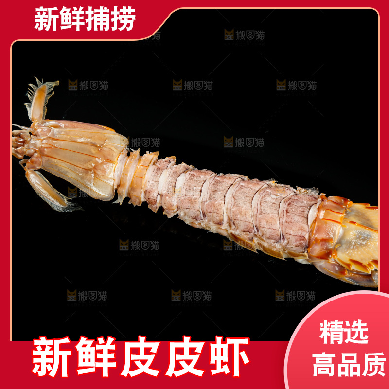 黑底上的富贵虾