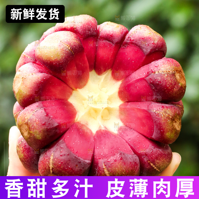 手里拿着恶魔果