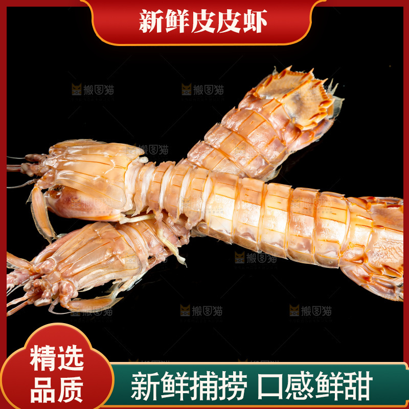黑底上的富贵虾