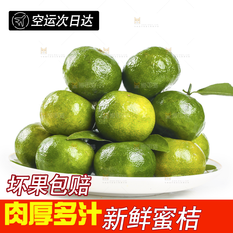 一盘广西清香蜜桔摆放在白底上