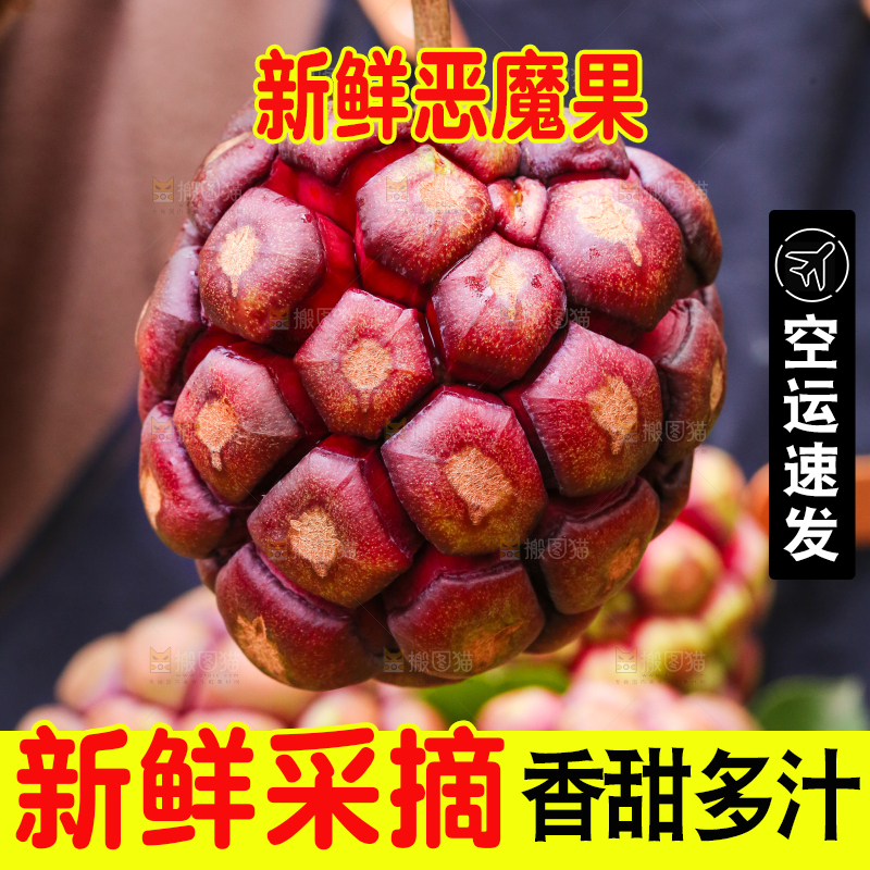 手里拿着恶魔果