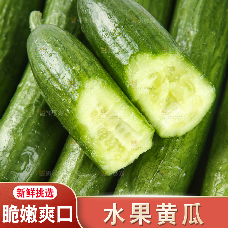 一盘小黄瓜