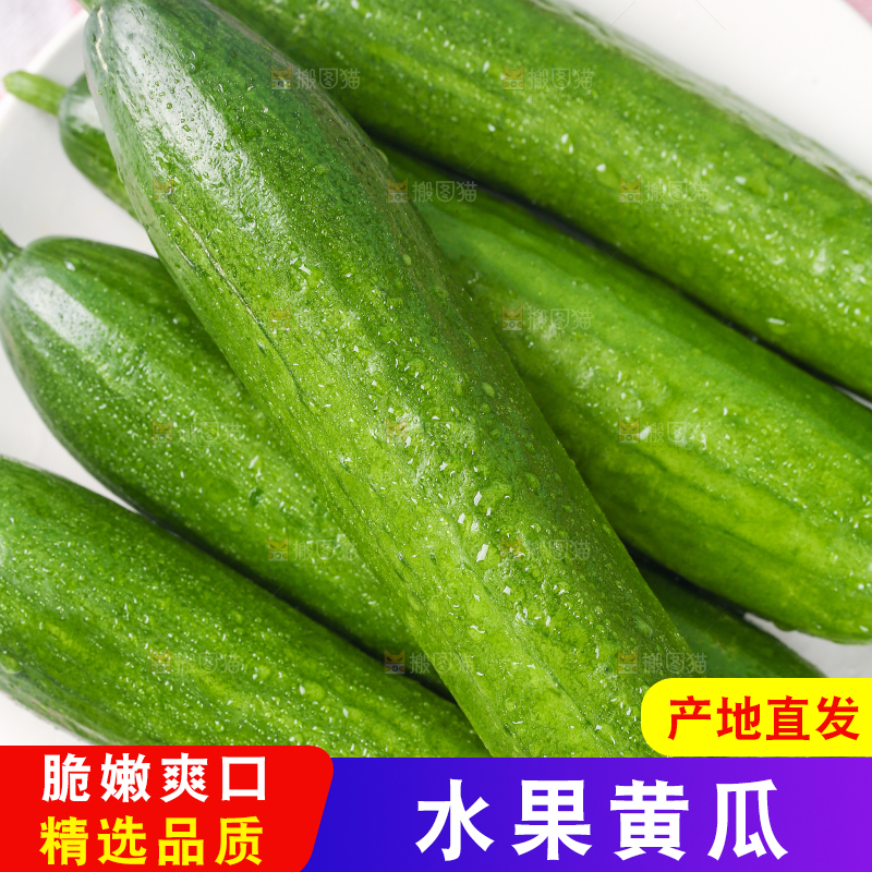 格子布底上放着一盘无刺黄瓜