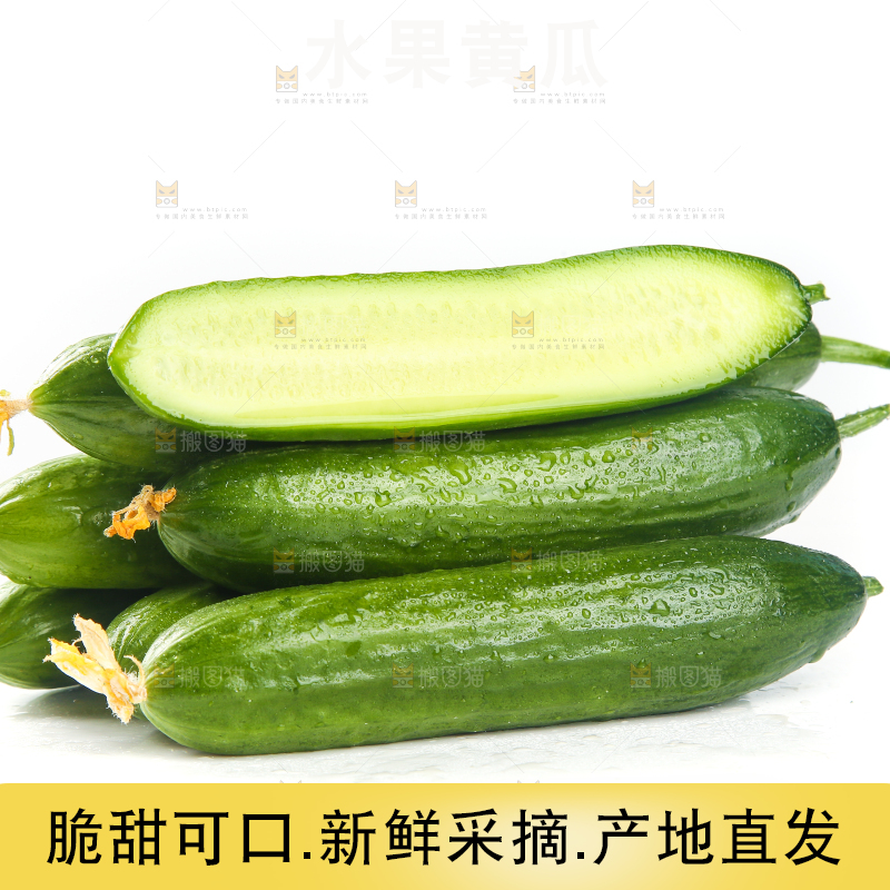 白底上放着一堆山东水果黄瓜