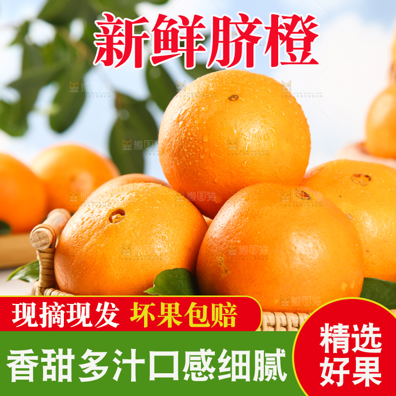 一篮子里的高山脐橙