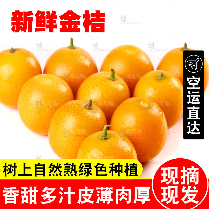 白底上放着黄皮金桔