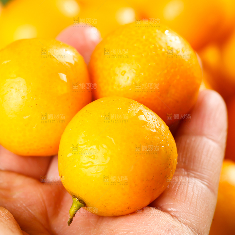 手里拿着金桔