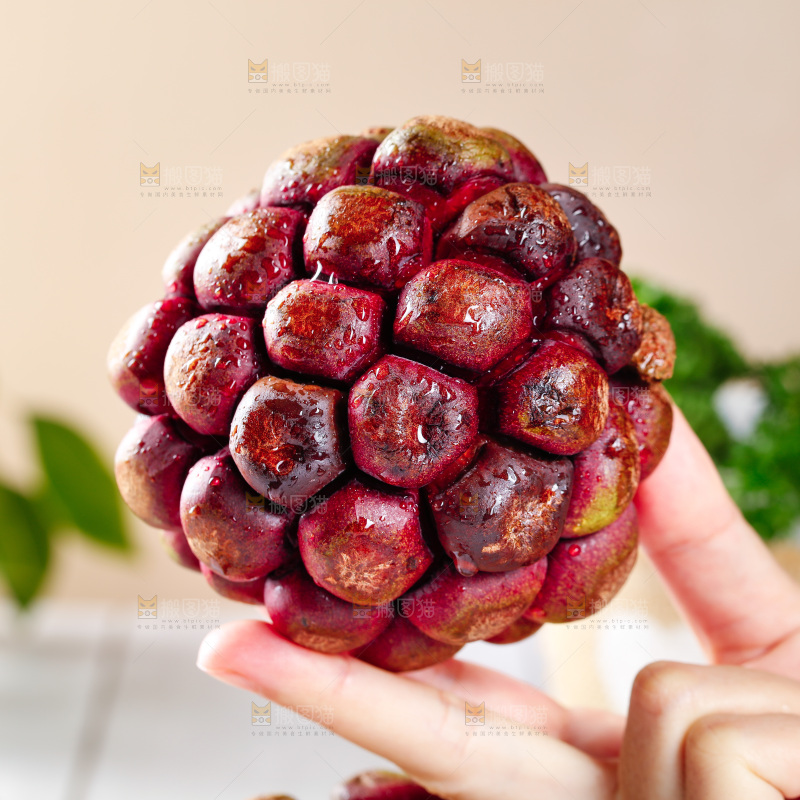 手里拿着血藤果