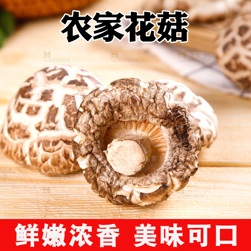 木底上摆放着椴木花菇