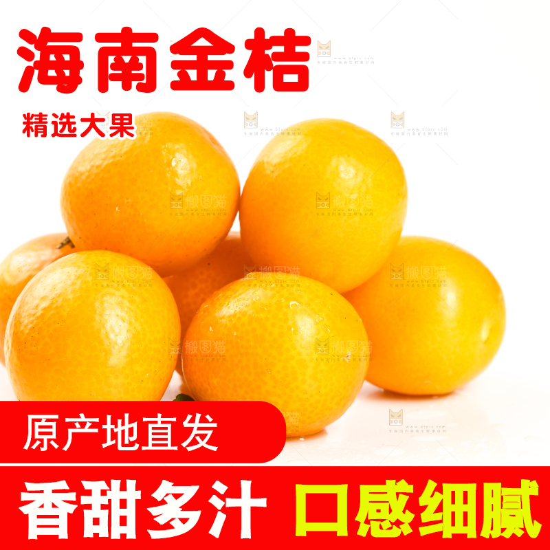 融安小金桔摆放在白底上