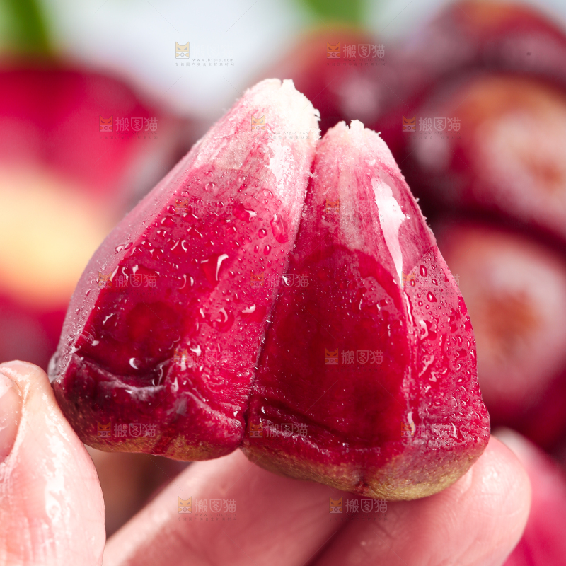 手里拿着恶魔果果粒