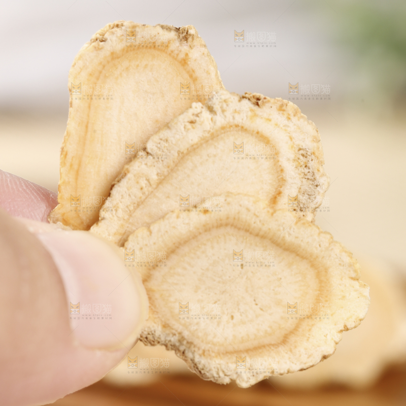 手里拿着长白山西洋参片