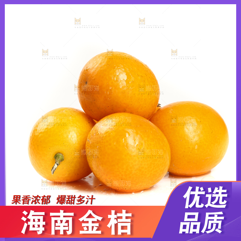 融安小金桔摆放在白底上
