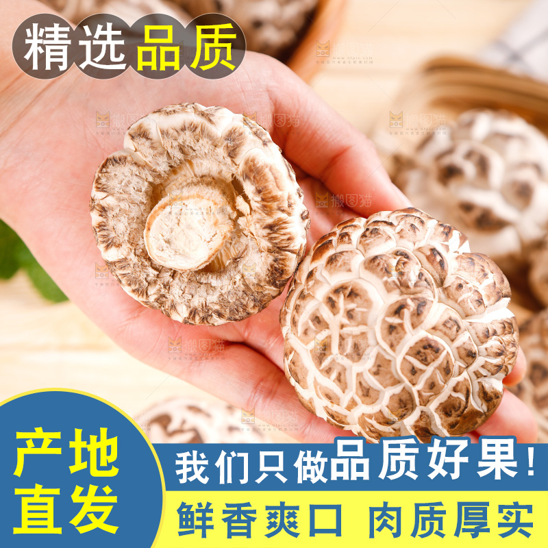手里拿着冬菇
