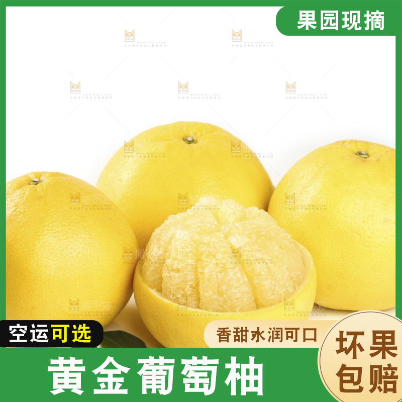 白底上的黄金葡萄柚