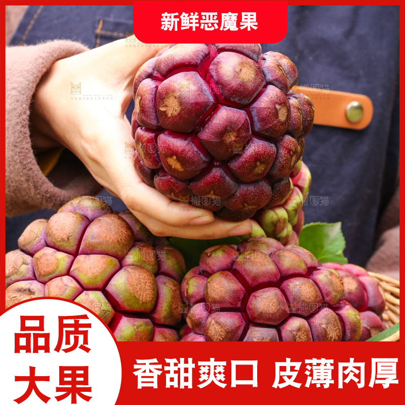 手里端着一篮福娜果黑老虎