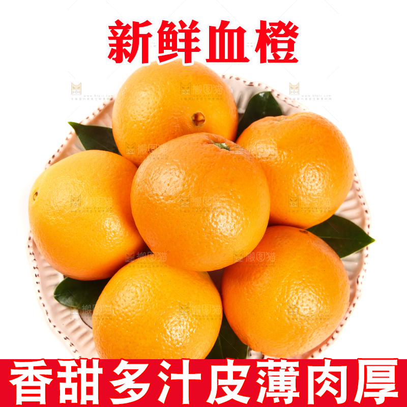 一盘血橙摆放在白底上