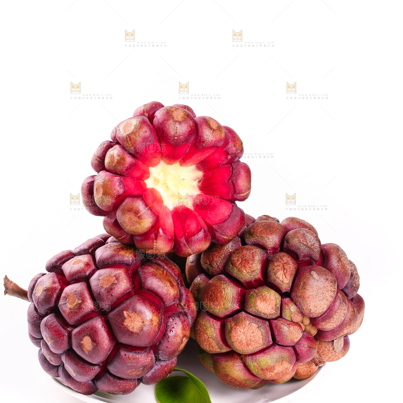白底上的福娜果黑老虎